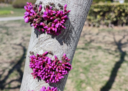 名头纸在翻译中的应用