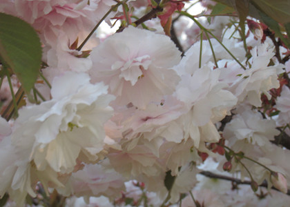 大连翻译公司提升消费体验是关键